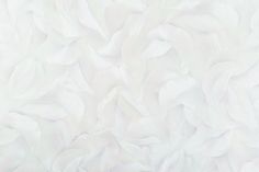 Обои 10752-03 Артекс Венди