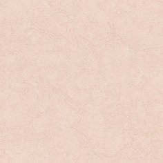 Обои 9163-01 Euro Decor Ray Eurodecor