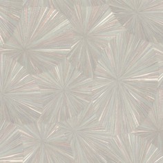 Обои 9162-04 Euro Decor Ray Eurodecor