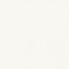 Обои HC71996-21 Home color Pions