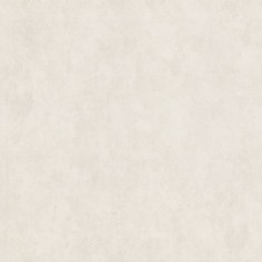 Обои 9165-00 Euro Decor Paint Eurodecor