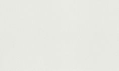 Обои 124422 Rasch Wallton 1,06м x 25м винил на флизелине