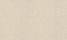 Обои Rasch 973662 Tendencia 4000441973662