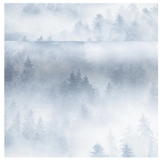 Обои Home Color My Forest HC71960 виниловые на флизелине горячего тиснения фотообои лес пр