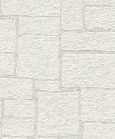 Обои 119916 Rasch Wallton 1,06м x 25м винил на флизелине