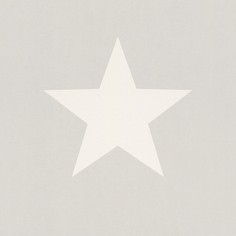 Обои Rasch Kids & Teens II 248128