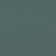 Обои Rasch 531459 Salsa 4000441531459