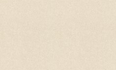 Обои Rasch 973617 Tendencia 4000441973617