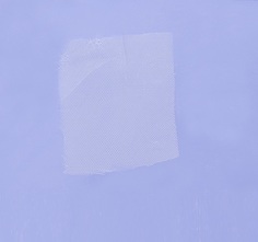Тюль нейлон №1/Wig Front Lace №1 (Цв: n/a) No Brand
