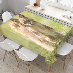 Скатерть прямоугольная на кухонный стол JoyArty "Чихуахуа на лугу" из оксфорда, 180x145 см