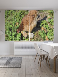 Классические шторы JoyArty "Прогулка по траве", серия Oxford DeLux, 2 полотна 145x180 см