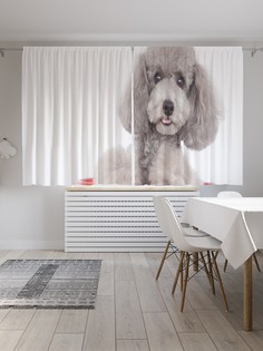 Классические шторы JoyArty "Собачка в ведре", серия Oxford DeLux, 2 полотна 145x180 см