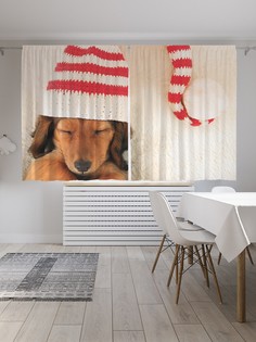 Классические шторы JoyArty "Такса спит в чепчике", Oxford DeLux, 2 полотна 145x180 см