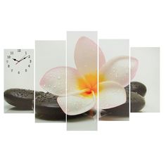 Часы настенные, модульные, серия: Цветы, "Цветок на камне", 80х140 см Сюжет