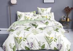 Постельное белье Cleo Pure Cotton из поплина арт 231-PC