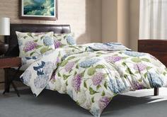 Постельное белье Cleo Pure Cotton из поплина арт PCЕ-278