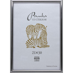 Рамка пластиковая А 4 серебряного цвета 513 Зебра