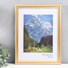 Фоторамка пластик Пастель 30х40 см, золото No Brand
