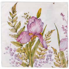 Салфетки бумажные lefard irises 33*33см, 3слоя, 20шт KSG-588-038
