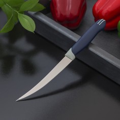 Доляна Нож кухонный Доляна «Страйп», гладкое лезвие 11,5 см