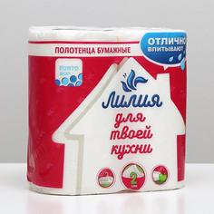 Полотенца бумажные Лилия, 2 слоя, 2 рулона Liliya
