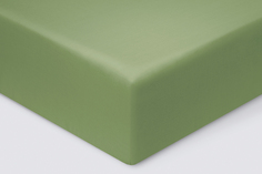 Простыня 1,5 спальная 150x215 Ecotex Моноспейс, сатин-премиум, зеленый