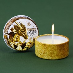 Новогодняя свеча в банке «Золотого года», ваниль, d = 4,8 см Зимнее волшебство