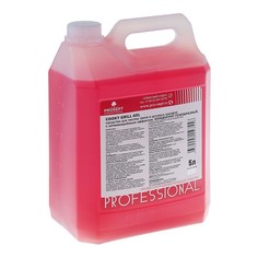 Гель для чистки гриля и духовых шкафов Cooky Grill Gel. Концентрат, 5л Prosept