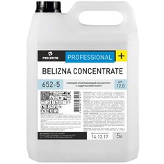 PRO BRITE Моющий концентрат Belizna concentrate, 5л