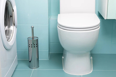 Ершик для унитаза Рыжий кот