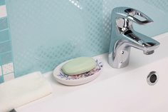 Мыльница Рыжий Кот Полынь