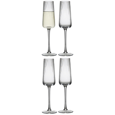 Набор из 4 штук Бокалы для шампанского Liberty Jones Celebrate 0.24 л, прозрачные
