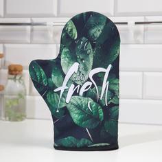 Варежка-прихватка Доляна Грин фрэш 24х32см,габардин, 35% х/л, 65% п/э, ватин 250г/м2 No Brand