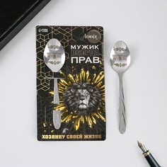 Ложка подарочная на открытке "Мужик всегда прав", 3 х 14 см Семейные традиции
