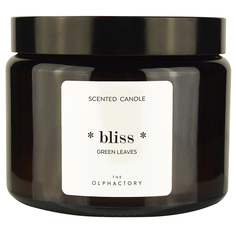 Свеча ароматическая Ambientair The Olphactory Bliss Green Rhubarb 60 ч