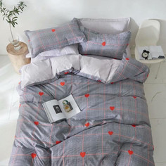 Постельное белье из микросатина TANGO DF-102-50 DREAM FLY 50х70 (2шт) 2-спальное