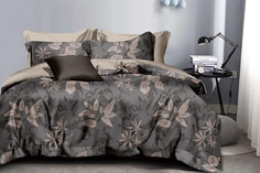 Постельное белье из микросатина TANGO DF02-459-70 DREAM FLY 70х70 (2шт) 2-спальное