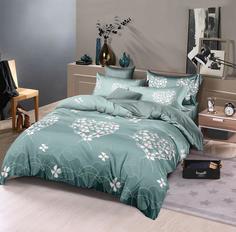 Постельное белье из микросатина TANGO DF03-476 DREAM FLY 50х70 (2шт) евро