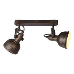 Arte Lamp Спот Arte Lamp Martin A5213AP-2BR