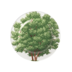 Тарелка Wood, 16 см. FREEDOM Taitu