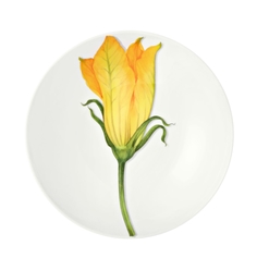 Тарелка суповая Vegetable, 20,5 см. цвет: желтый, FREEDOM Taitu