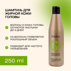 Шампунь для жирной кожи головы Salerm Champu Antigrasa 250 мл