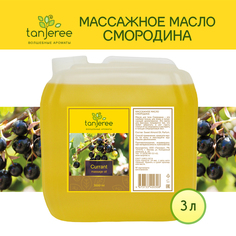 Масло массажное Tanjeree для массажа тела расслабляющее натуральное, Смородина, 3 л