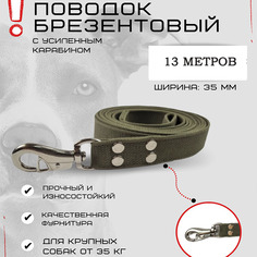 Поводок для собак Хвостатыч для крупных пород, с усиленным карабином, зеленый,13 м х 35 мм