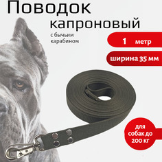 Поводок для собак Хвостатыч с усиленным карабином,капрон,зеленый 1 м х 35 мм