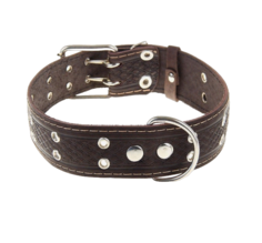 Ошейник для собак Пижон микс цветов 74х4,5 см