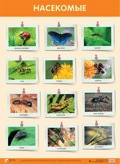 Развивающие плакаты Мозаика-синтез насекомые