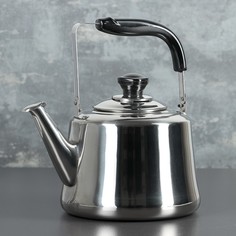 Чайник «Чайковский», 3 л, цвет хромированный No Brand