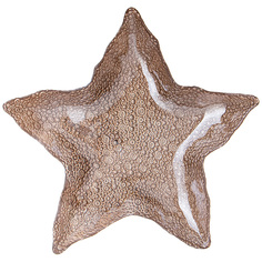 Блюдо Bronco Starfish sand 34 см