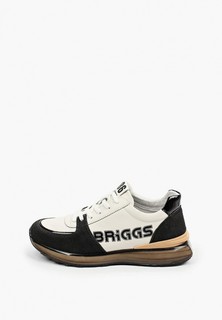 Кроссовки Briggs